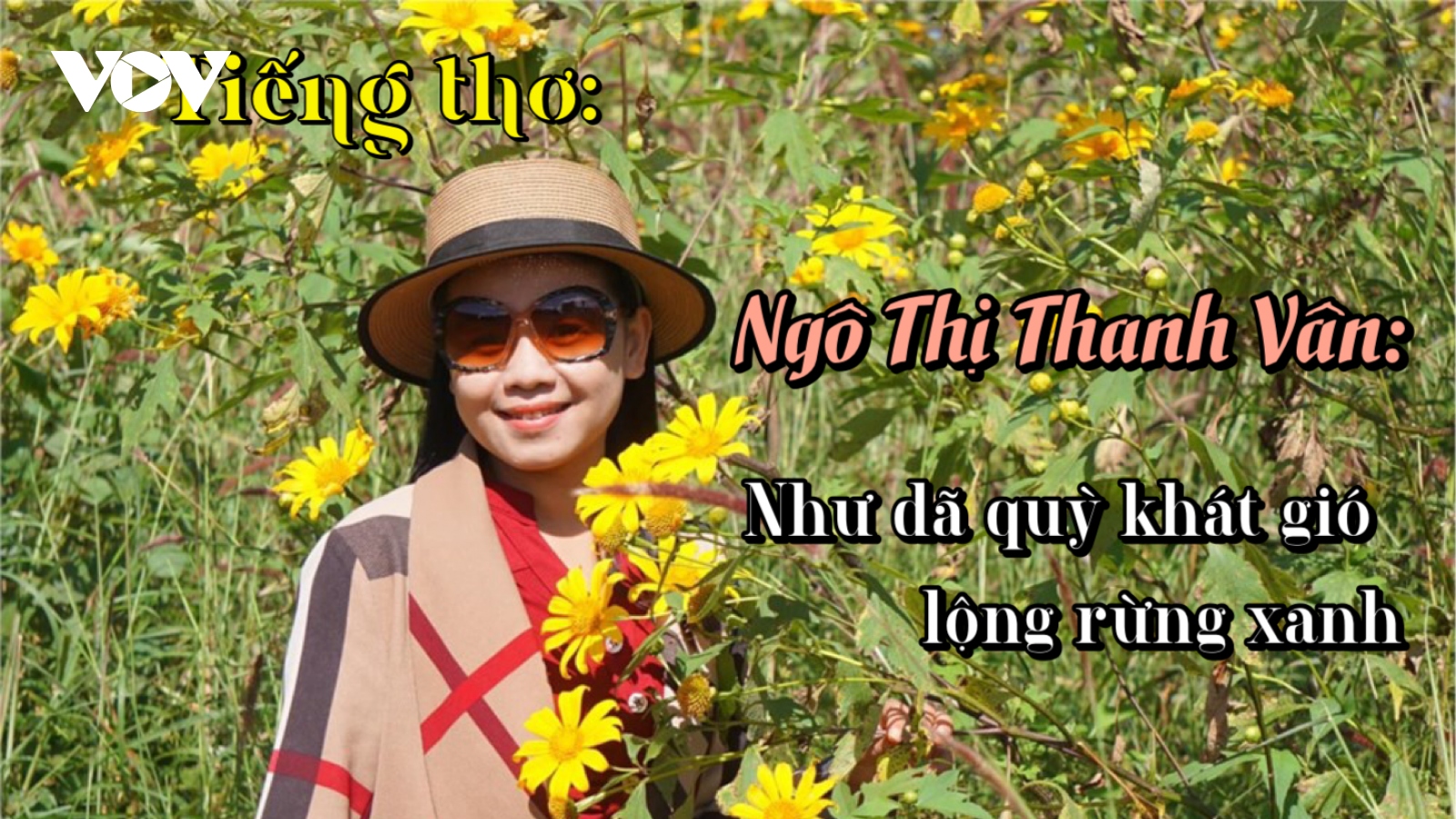 Nhà thơ Ngô Thị Thanh Vân: "Như dã quỳ khát gió lộng rừng xanh"